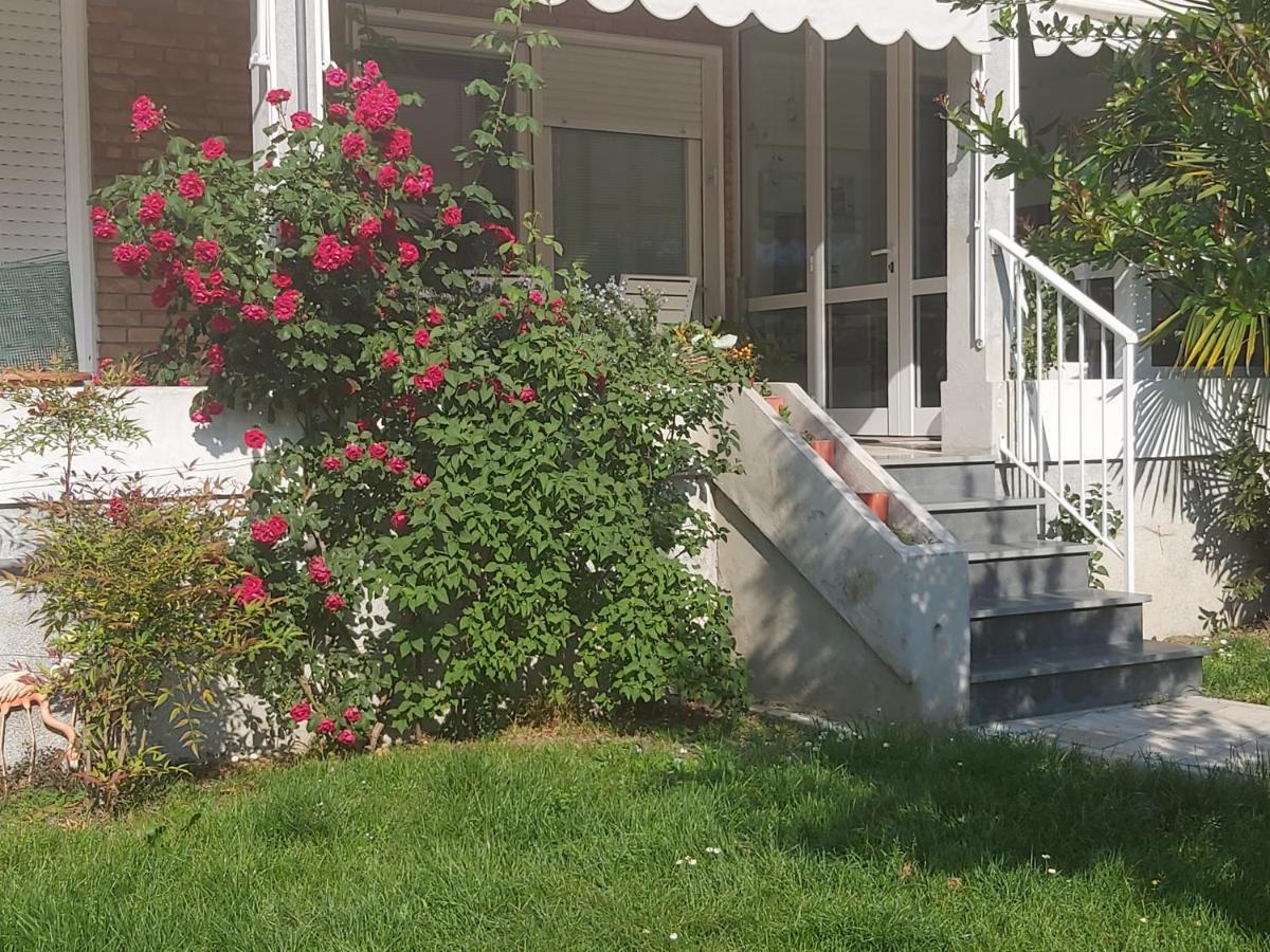 Villa Silvia Olivetti Banchette D'Ivrea Exteriör bild